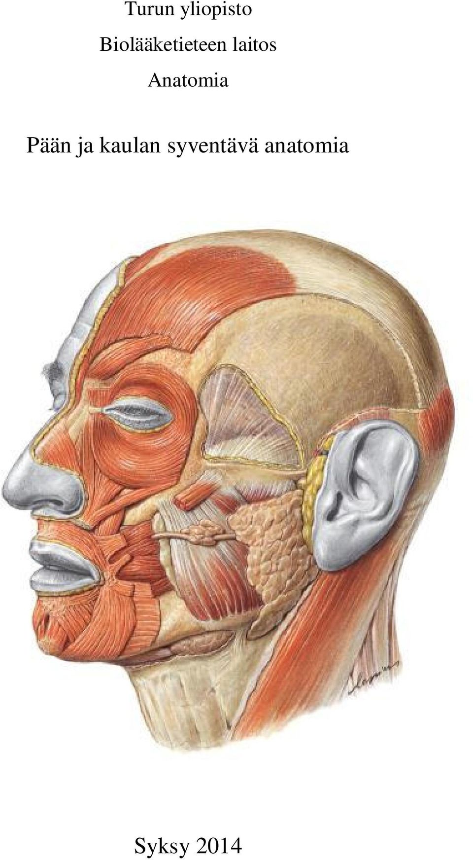 Anatomia Pään ja