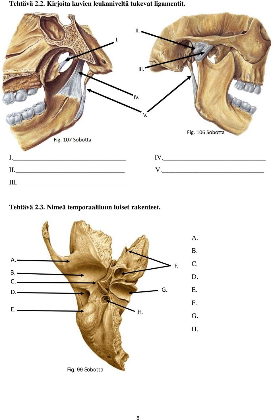 ligamentit. I. II. III. IV. V. 3.