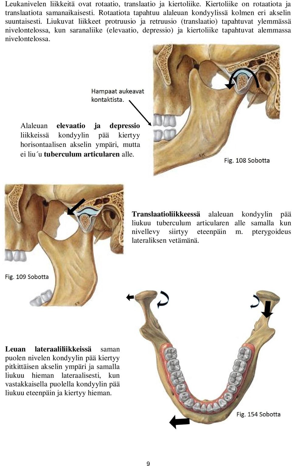 Alaleuan elevaatio ja depressio liikkeissä kondyylin pää kiertyy horisontaalisen akselin ympäri, mutta ei liu u tuberculum articularen alle.