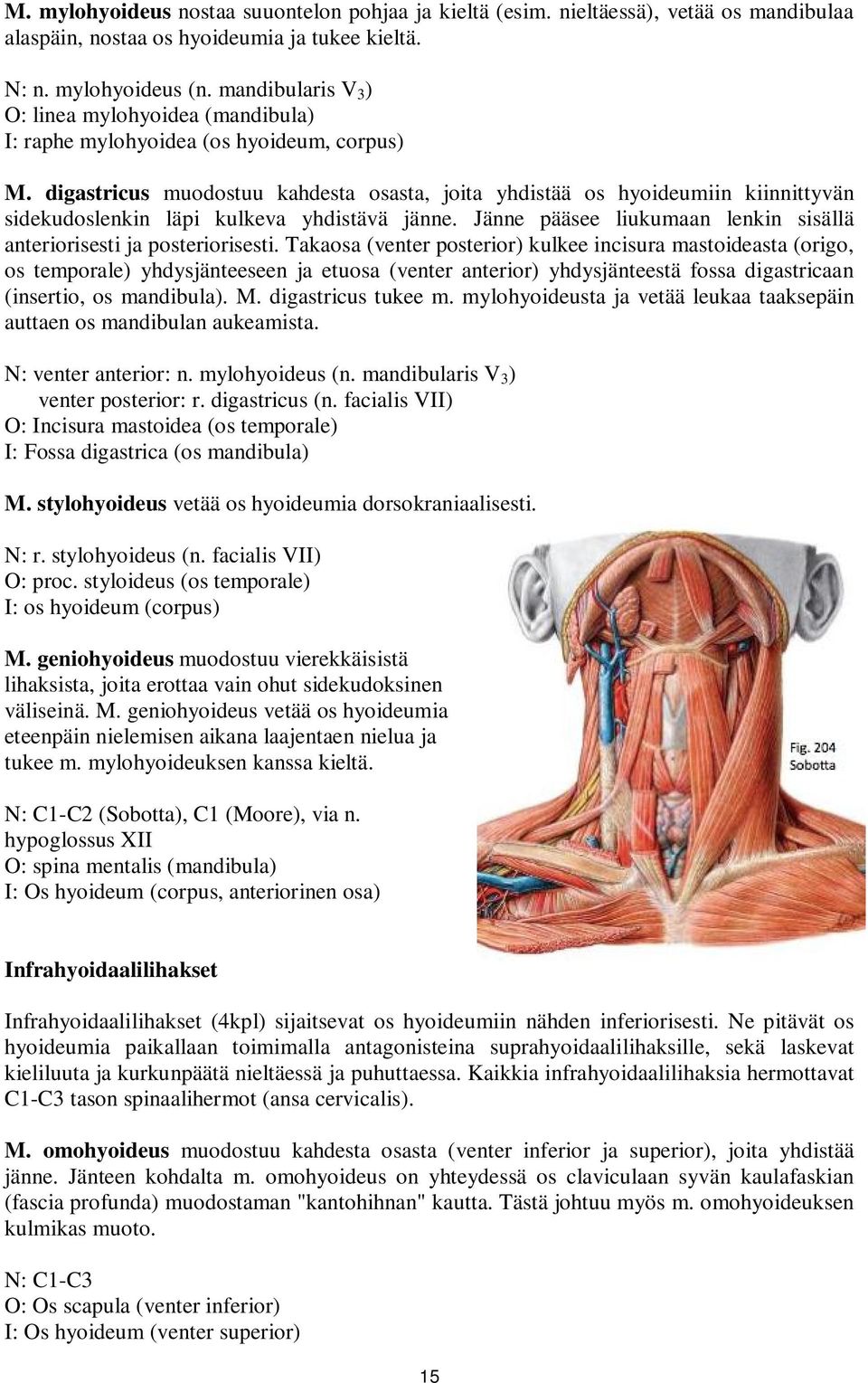 digastricus muodostuu kahdesta osasta, joita yhdistää os hyoideumiin kiinnittyvän sidekudoslenkin läpi kulkeva yhdistävä jänne. Jänne pääsee liukumaan lenkin sisällä anteriorisesti ja posteriorisesti.