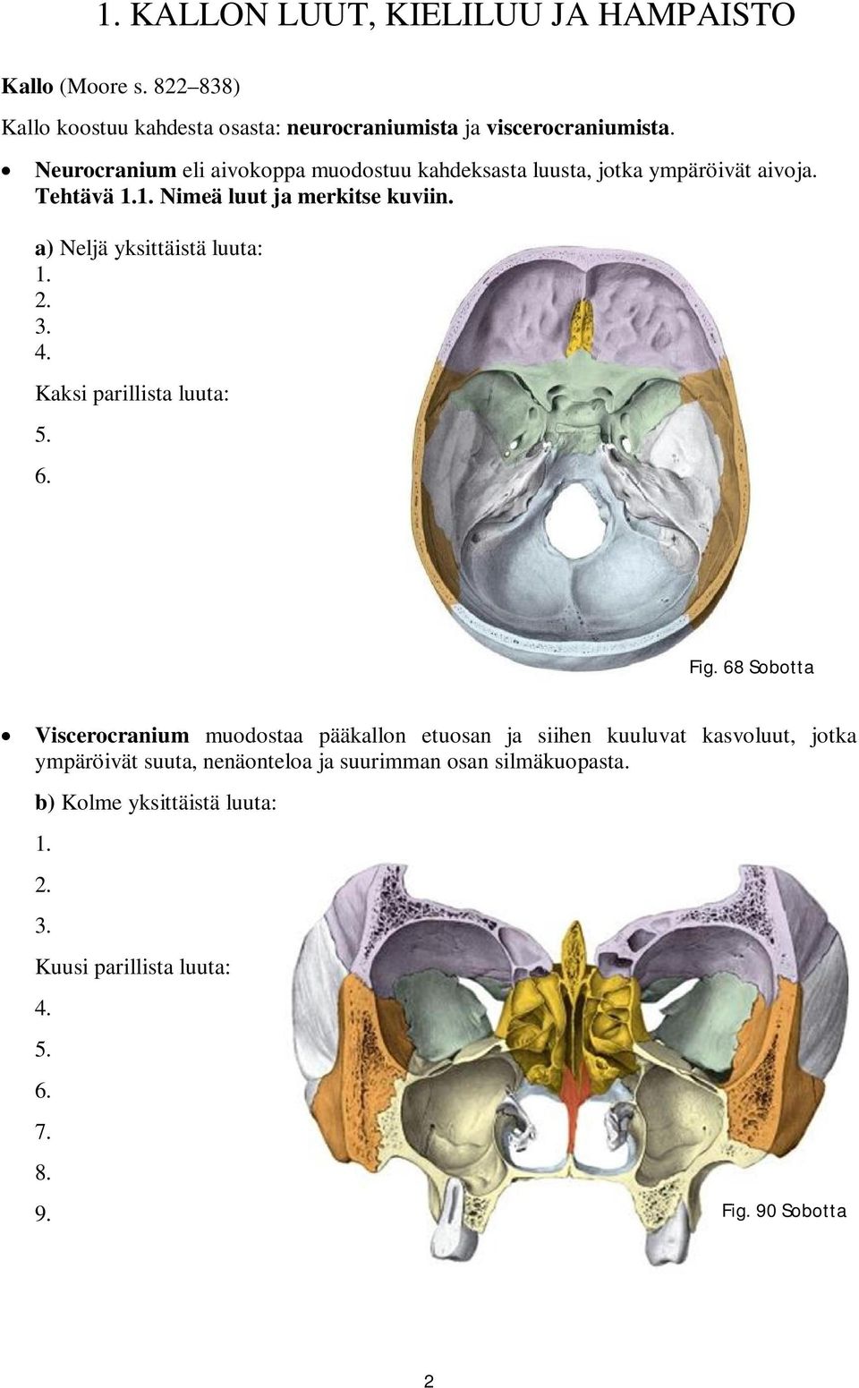 a) Neljä yksittäistä luuta: 1. 2. 3. 4. Kaksi parillista luuta: 5. 6. Fig.