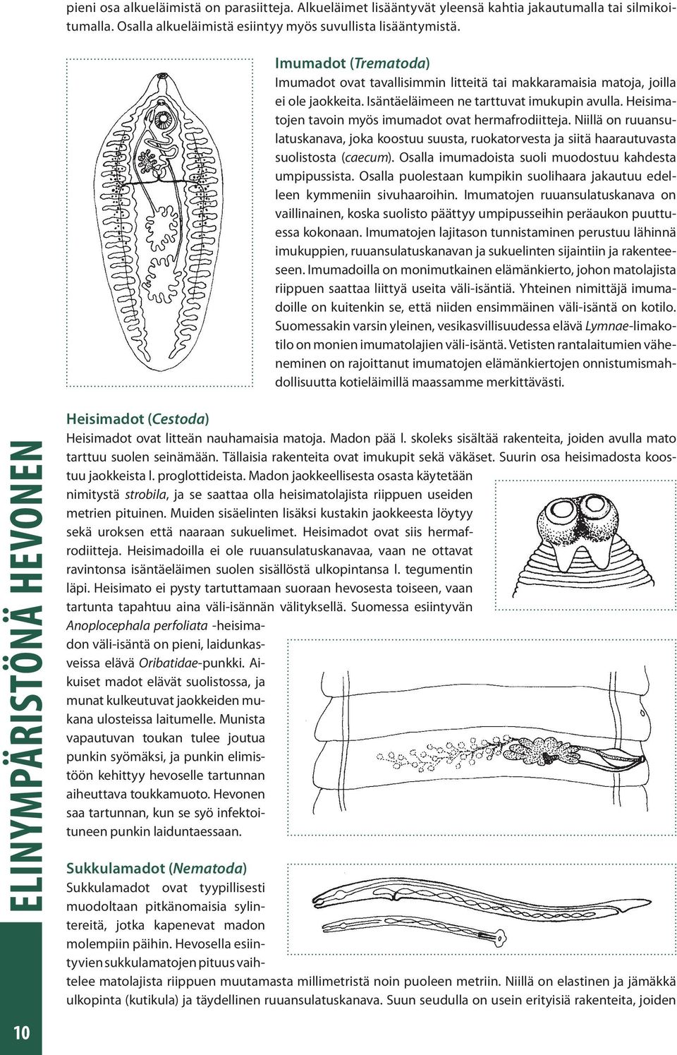 Heisimatojen tavoin myös imumadot ovat hermafrodiitteja. Niillä on ruuansulatuskanava, joka koostuu suusta, ruokatorvesta ja siitä haarautuvasta suolistosta (caecum).