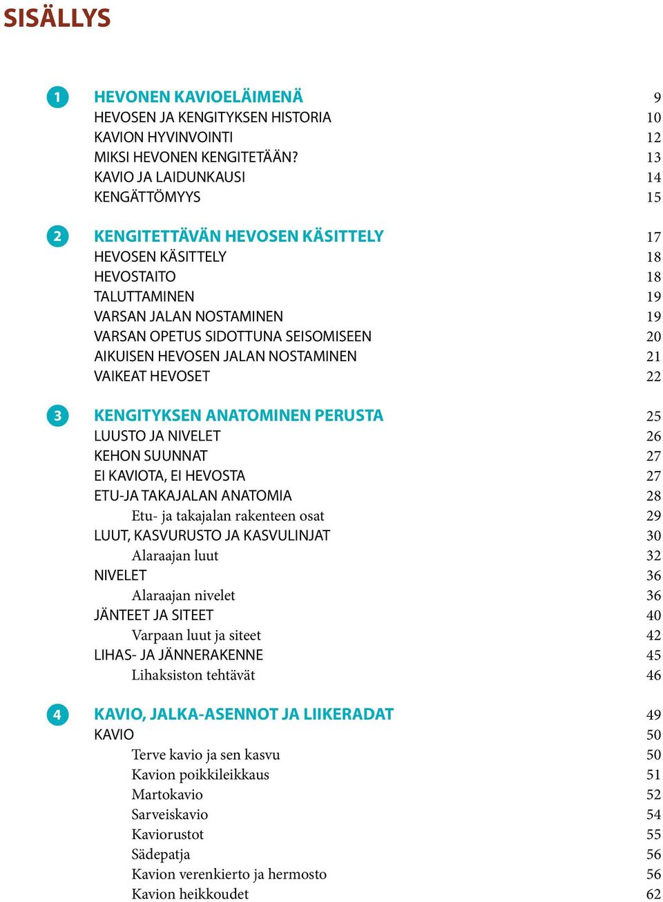 AIKUISEN HEVOSEN JALAN NOSTAMINEN 21 VAIKEAT HEVOSET 22 KENGITYKSEN ANATOMINEN PERUSTA 25 LUUSTO JA NIVELET 26 KEHON SUUNNAT 27 EI KAVIOTA, EI HEVOSTA 27 ETU-JA TAKAJALAN ANATOMIA 28 Etu- ja