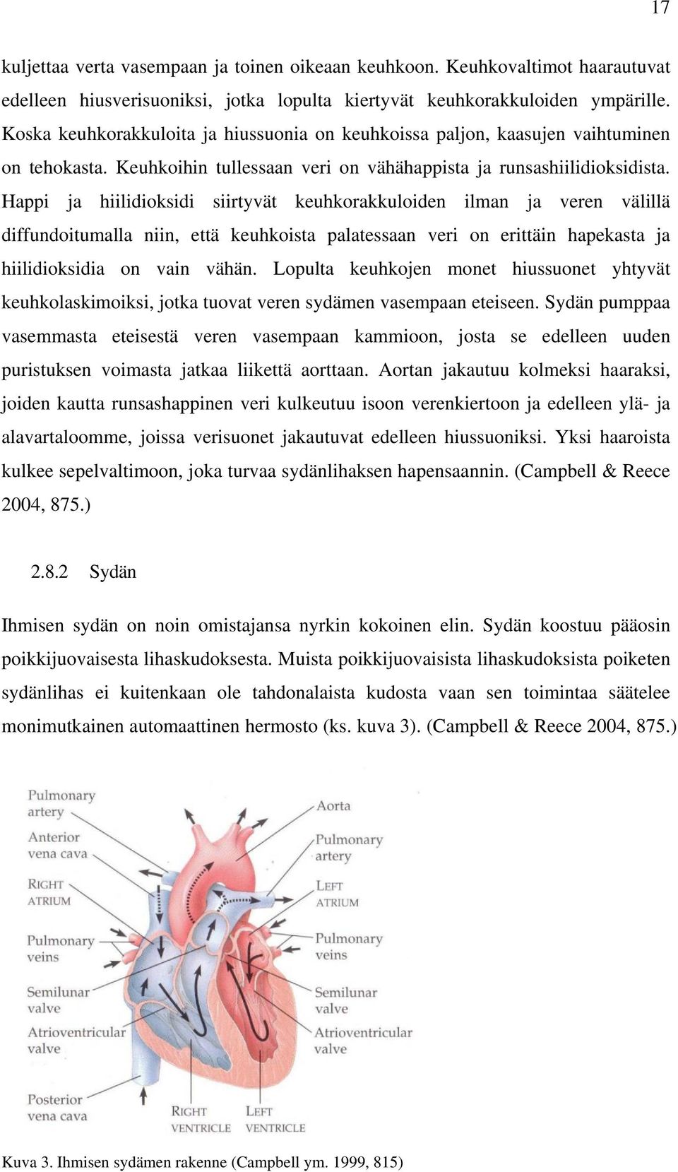 Happi ja hiilidioksidi siirtyvät keuhkorakkuloiden ilman ja veren välillä diffundoitumalla niin, että keuhkoista palatessaan veri on erittäin hapekasta ja hiilidioksidia on vain vähän.