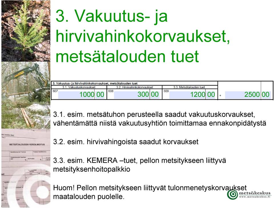 ennakonpidätystä 3.2. esim. hirvivahingoista saadut korvaukset 3.3. esim. KEMERA tuet, pellon metsitykseen liittyvä metsityksenhoitopalkkio Huom!