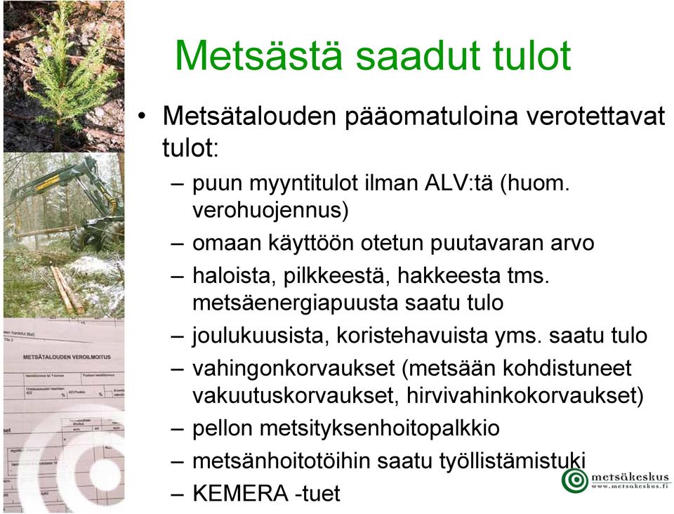 metsäenergiapuusta saatu tulo joulukuusista, koristehavuista yms.