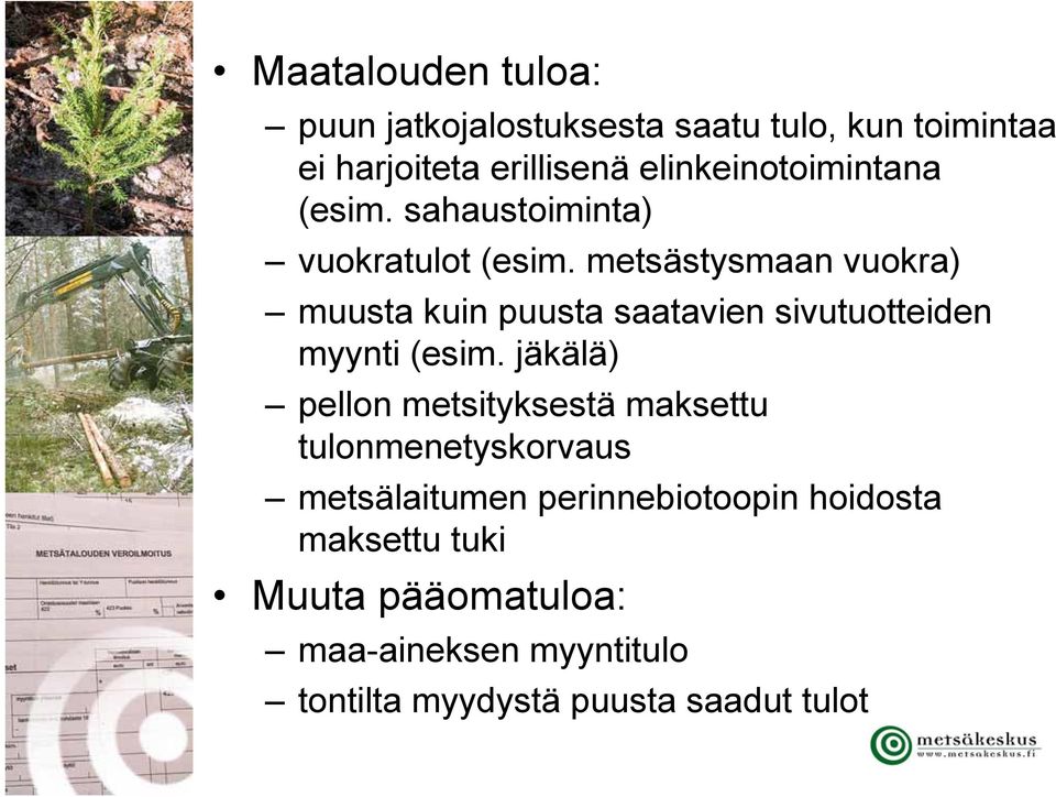 metsästysmaan vuokra) muusta kuin puusta saatavien sivutuotteiden myynti (esim.