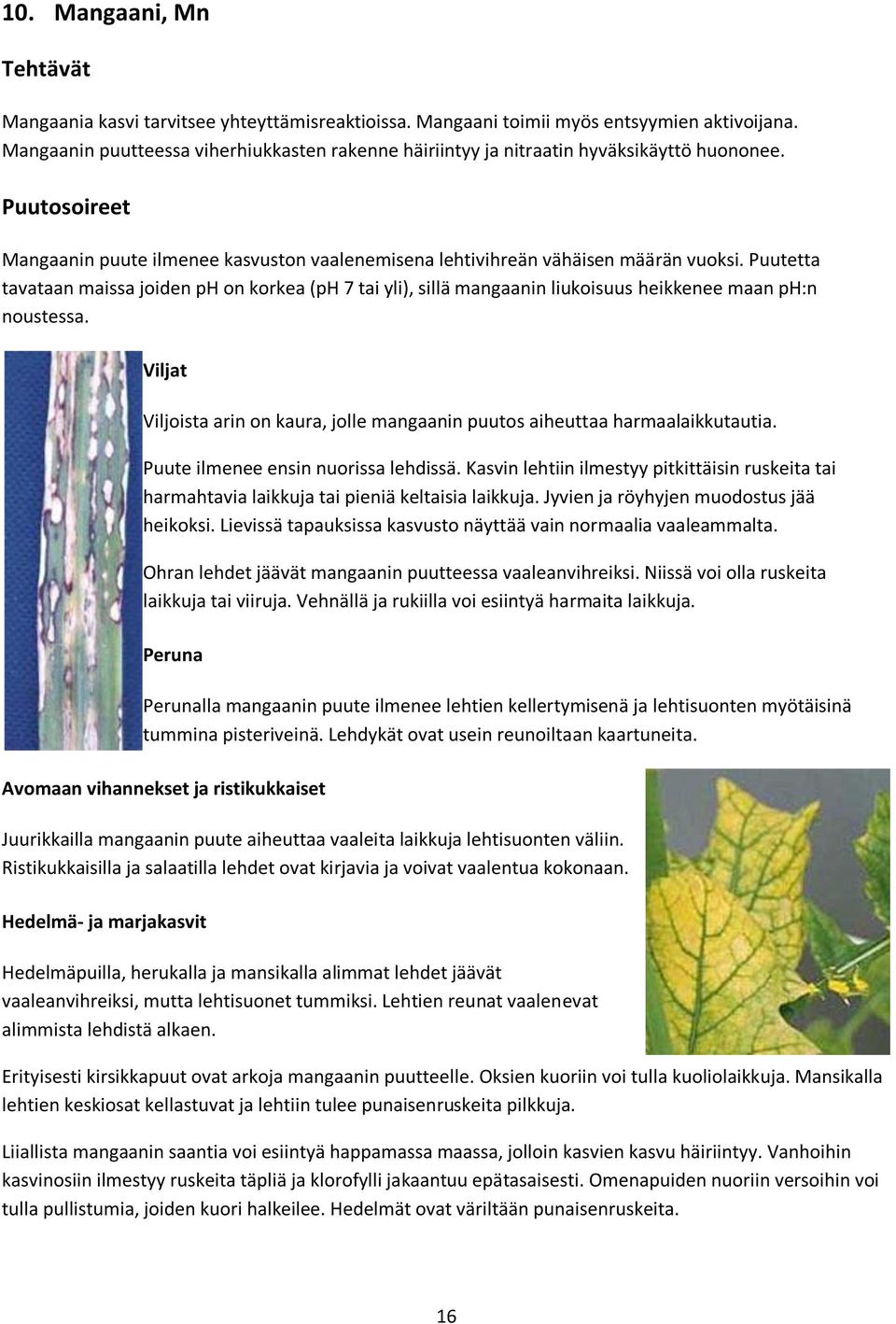 Puutetta tavataan maissa joiden ph on korkea (ph 7 tai yli), sillä mangaanin liukoisuus heikkenee maan ph:n noustessa.