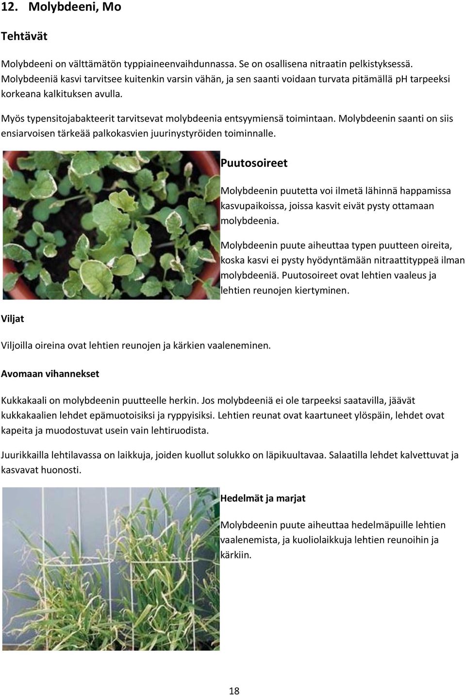 Myös typensitojabakteerit tarvitsevat molybdeenia entsyymiensä toimintaan. Molybdeenin saanti on siis ensiarvoisen tärkeää palkokasvien juurinystyröiden toiminnalle.