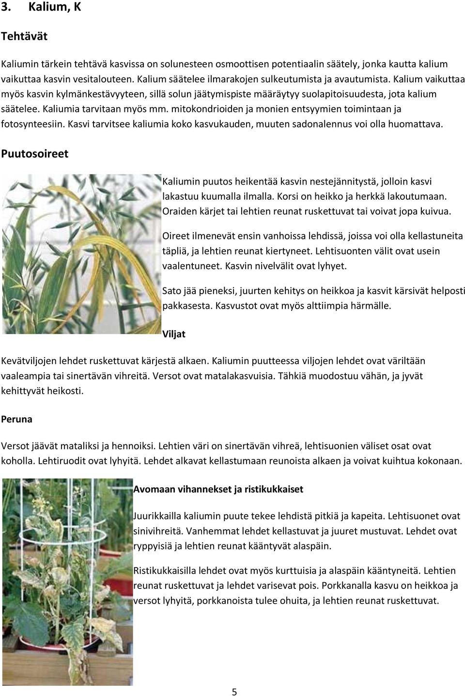 Kaliumia tarvitaan myös mm. mitokondrioiden ja monien entsyymien toimintaan ja fotosynteesiin. Kasvi tarvitsee kaliumia koko kasvukauden, muuten sadonalennus voi olla huomattava.