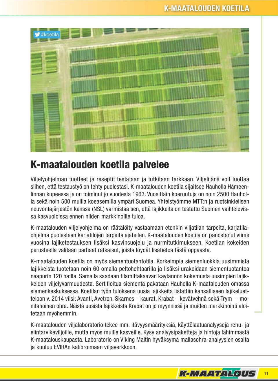 Vuosittain koeruutuja on noin 2500 Hauholla sekä noin 500 muilla koeasemilla ympäri Suomea.