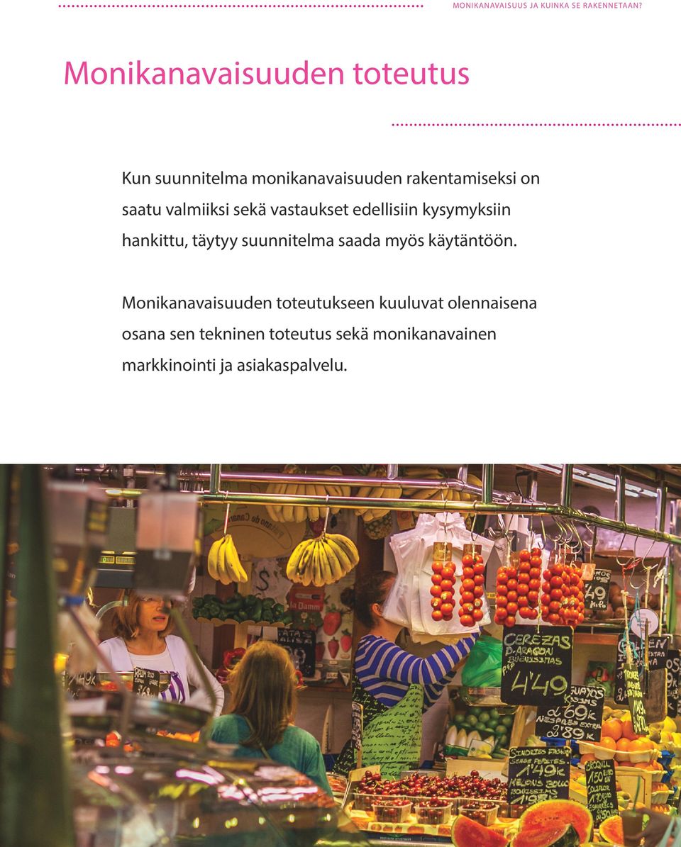 suunnitelma saada myös käytäntöön.