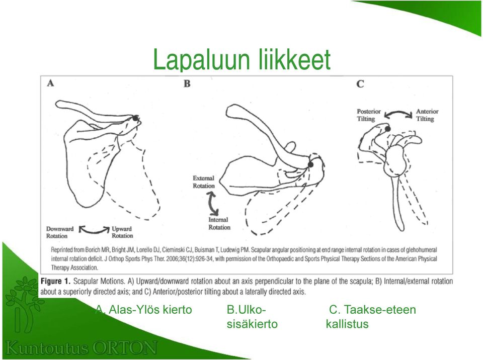 Ulkosisäkierto C.