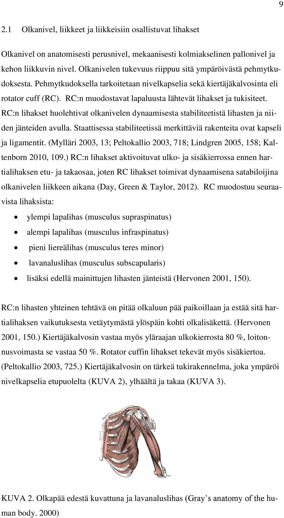 RC:n muodostavat lapaluusta lähtevät lihakset ja tukisiteet. RC:n lihakset huolehtivat olkanivelen dynaamisesta stabiliteetistä lihasten ja niiden jänteiden avulla.