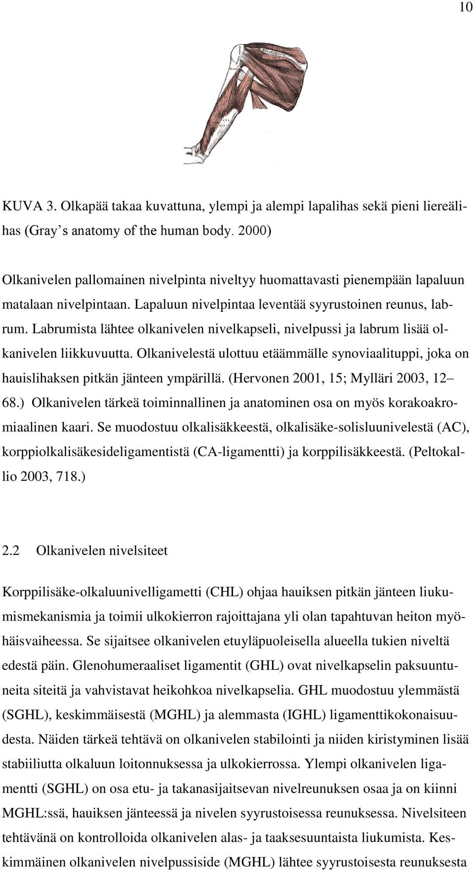 Labrumista lähtee olkanivelen nivelkapseli, nivelpussi ja labrum lisää olkanivelen liikkuvuutta. Olkanivelestä ulottuu etäämmälle synoviaalituppi, joka on hauislihaksen pitkän jänteen ympärillä.