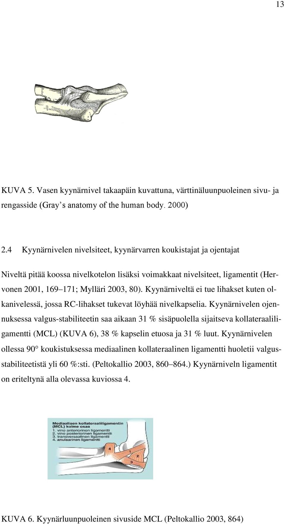 Kyynärniveltä ei tue lihakset kuten olkanivelessä, jossa RC-lihakset tukevat löyhää nivelkapselia.