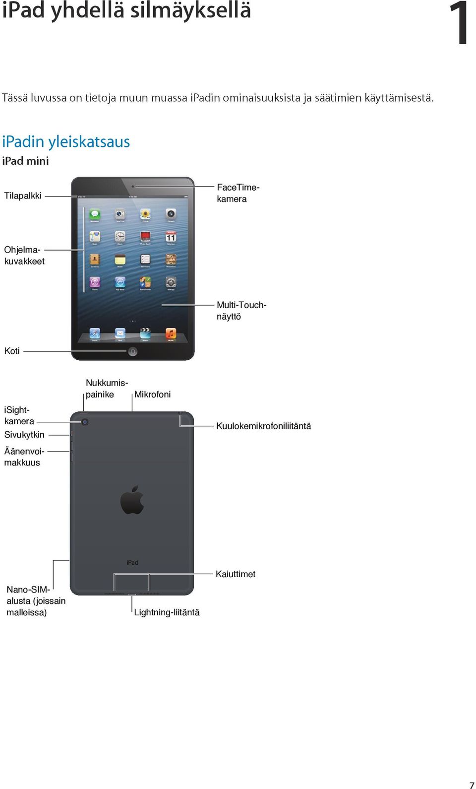 ipadin yleiskatsaus ipad mini Tilapalkki Koti isightkamera Sivukytkin Mikrofoni