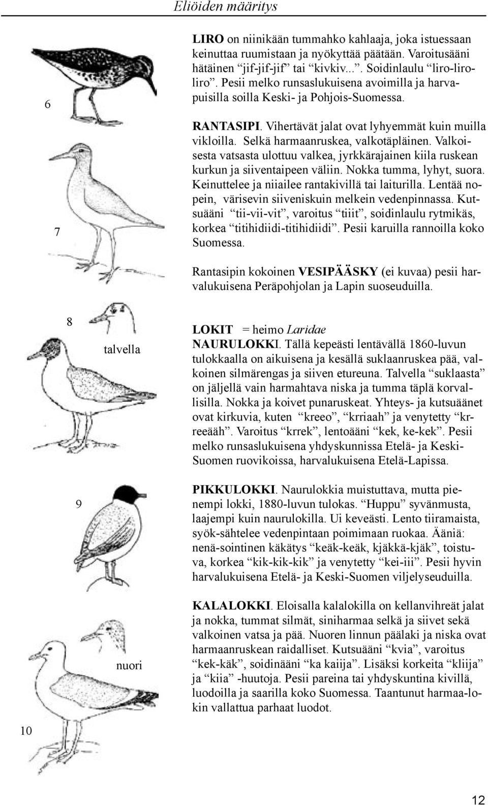 Valkoisesta vatsasta ulottuu valkea, jyrkkärajainen kiila ruskean kurkun ja siiventaipeen väliin. Nokka tumma, lyhyt, suora. Keinuttelee ja niiailee rantakivillä tai laiturilla.