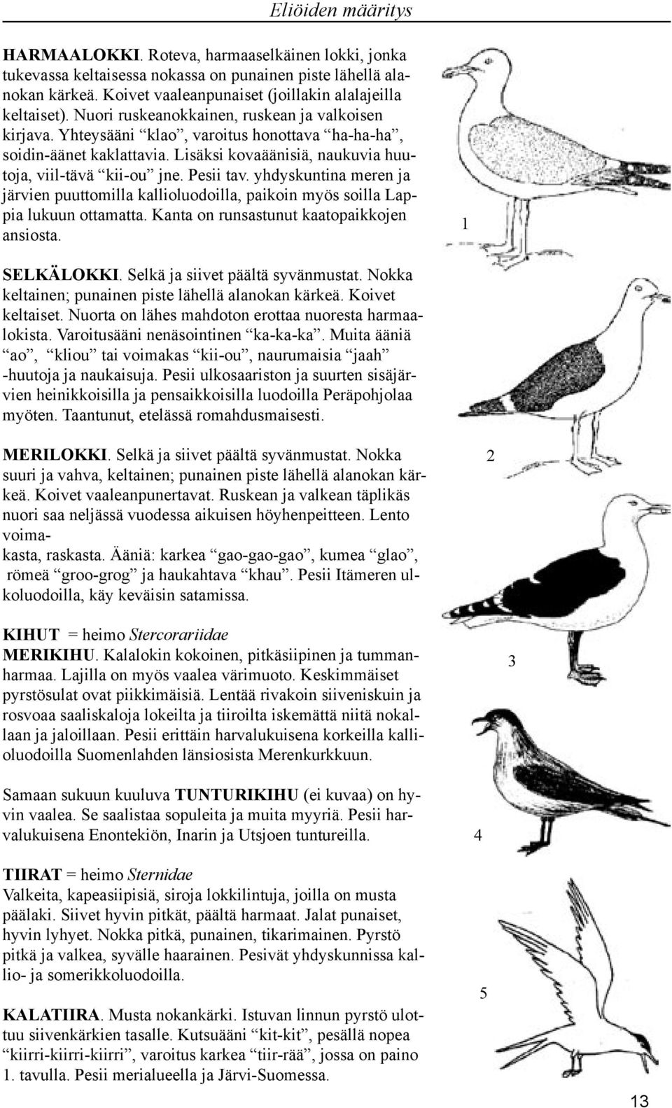 yhdyskuntina meren ja järvien puuttomilla kallioluodoilla, paikoin myös soilla Lappia lukuun ottamatta. Kanta on runsastunut kaatopaikkojen ansiosta. SELKÄLOKKI. Selkä ja siivet päältä syvänmustat.