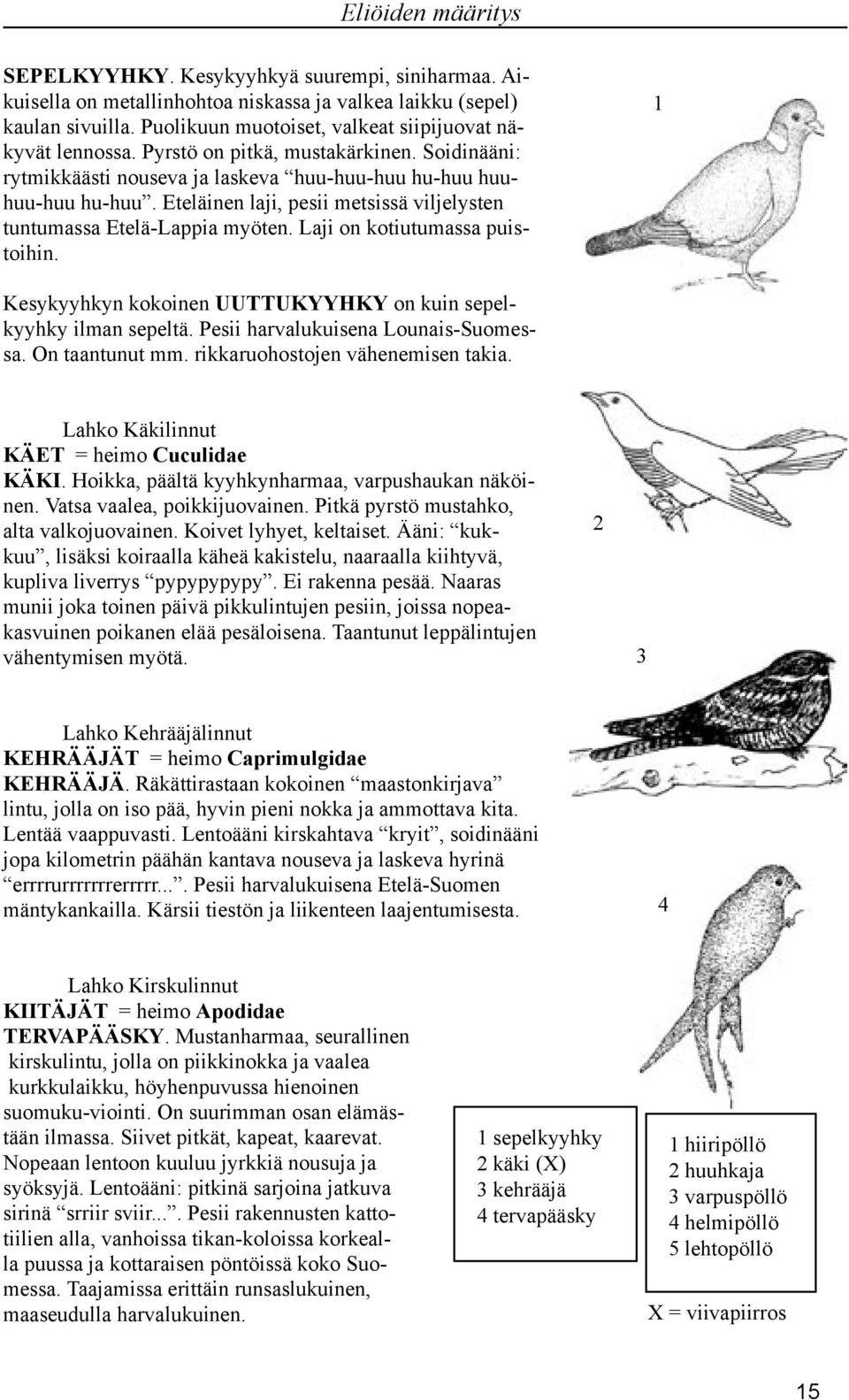 Laji on kotiutumassa puistoihin. Kesykyyhkyn kokoinen UUTTUKYYHKY on kuin sepelkyyhky ilman sepeltä. Pesii harvalukuisena Lounais-Suomessa. On taantunut mm. rikkaruohostojen vähenemisen takia.