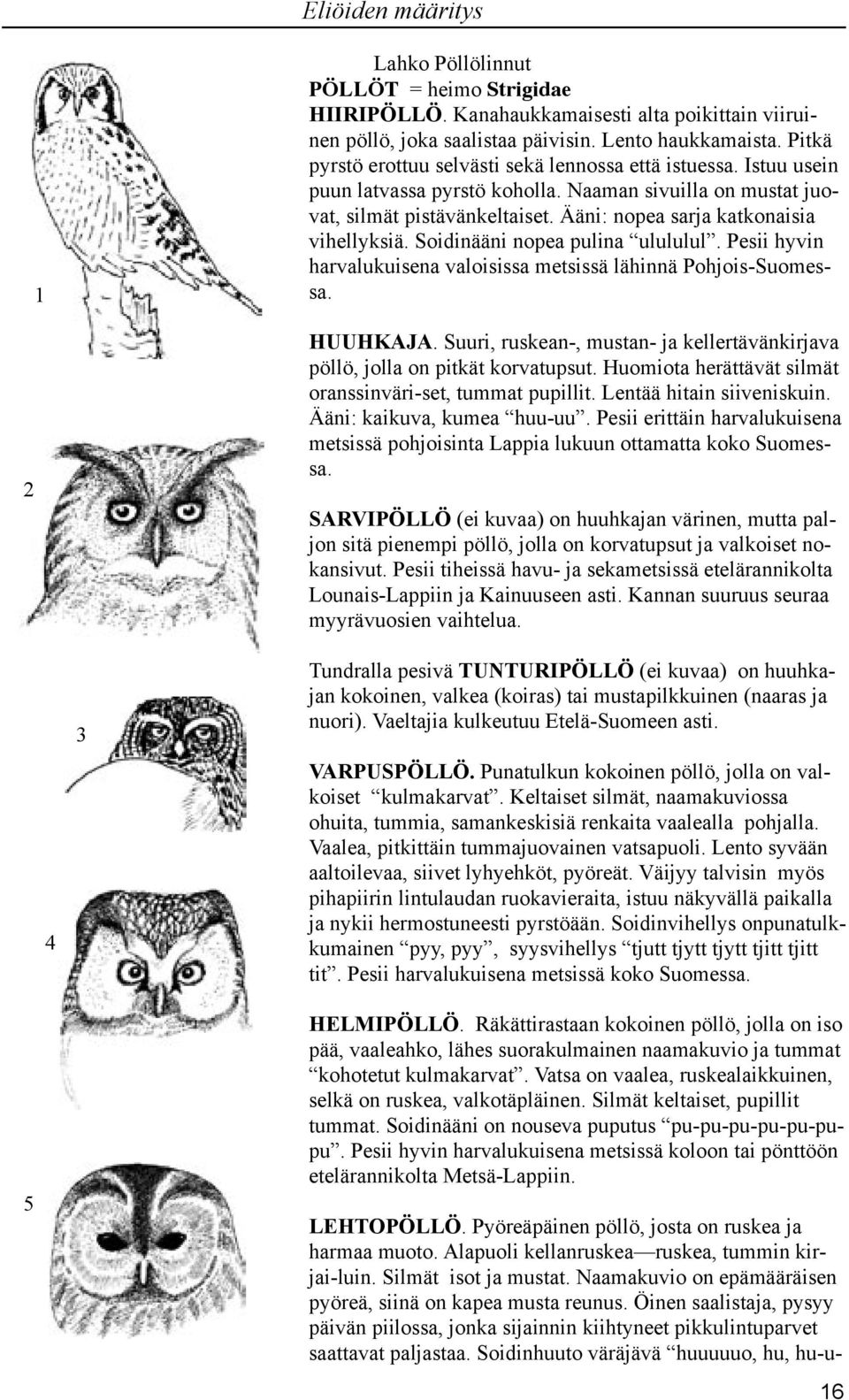 Ääni: nopea sarja katkonaisia vihellyksiä. Soidinääni nopea pulina ulululul. Pesii hyvin harvalukuisena valoisissa metsissä lähinnä Pohjois-Suomessa. HUUHKAJA.