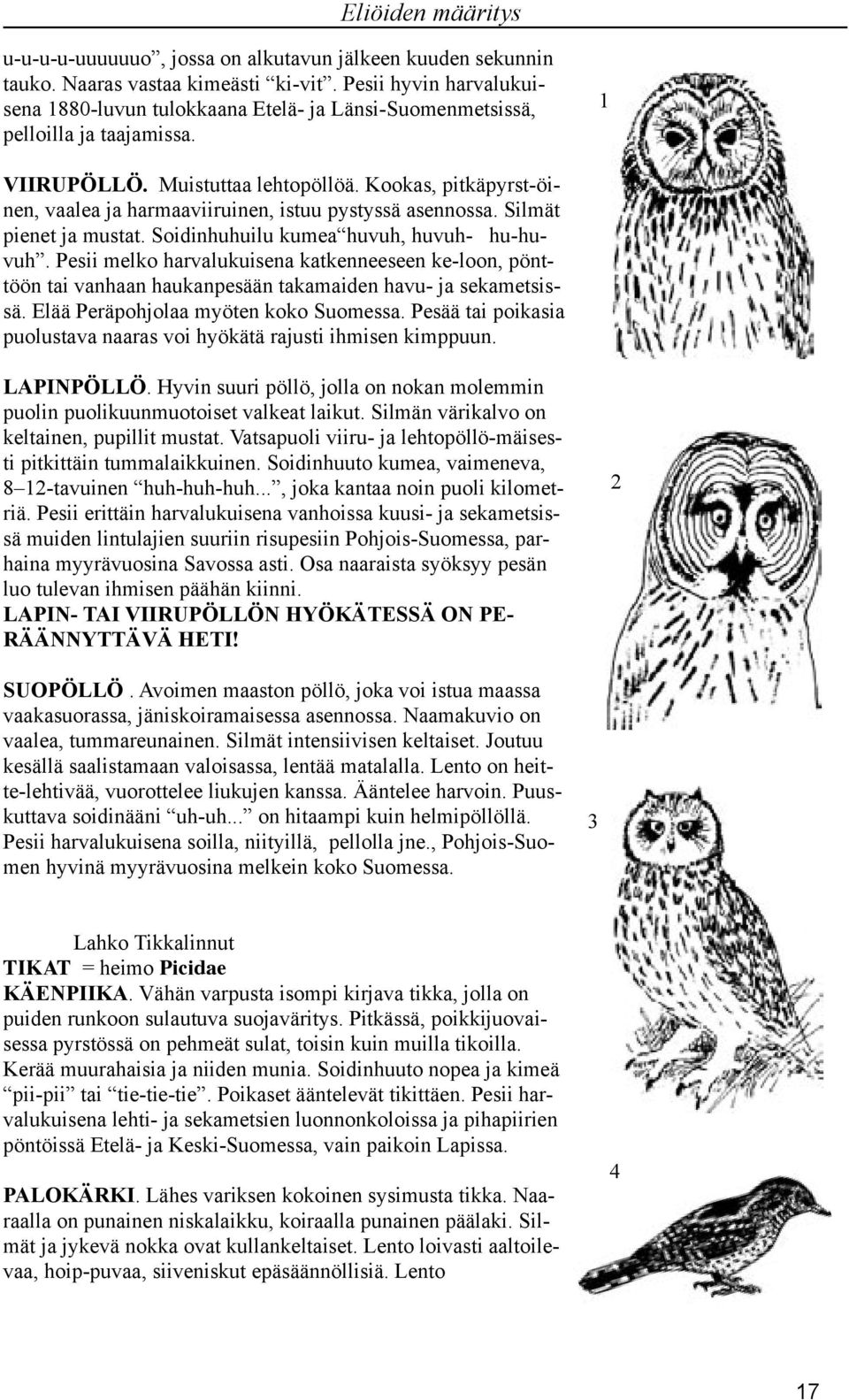 Kookas, pitkäpyrst-öinen, vaalea ja harmaaviiruinen, istuu pystyssä asennossa. Silmät pienet ja mustat. Soidinhuhuilu kumea huvuh, huvuh- hu-huvuh.