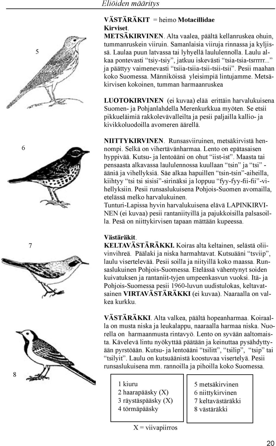 Männiköissä yleisimpiä lintujamme. Metsäkirvisen kokoinen, tumman harmaanruskea LUOTOKIRVINEN (ei kuvaa) elää erittäin harvalukuisena Suomen- ja Pohjanlahdella Merenkurkkua myöten.