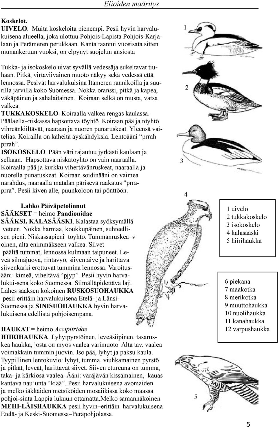 Pitkä, virtaviivainen muoto näkyy sekä vedessä että lennossa. Pesivät harvalukuisina Itämeren rannikoilla ja suurilla järvillä koko Suomessa.