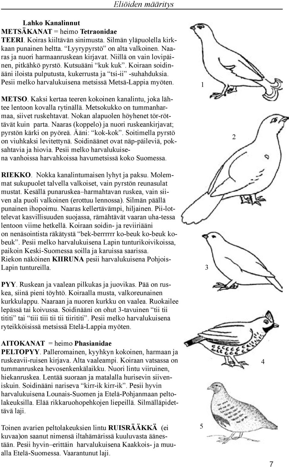 Kaksi kertaa teeren kokoinen kanalintu, joka lähtee lentoon kovalla rytinällä. Metsokukko on tummanharmaa, siivet ruskehtavat. Nokan alapuolen höyhenet tör-röttävät kuin parta.