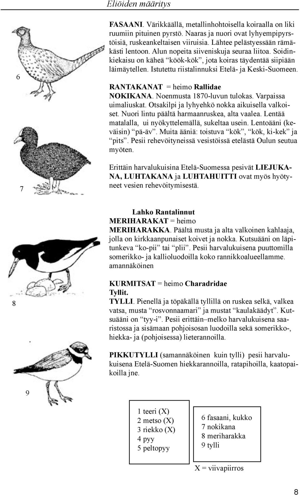 RANTAKANAT = heimo Rallidae NOKIKANA. Noenmusta 870-luvun tulokas. Varpaissa uimaliuskat. Otsakilpi ja lyhyehkö nokka aikuisella valkoiset. Nuori lintu päältä harmaanruskea, alta vaalea.