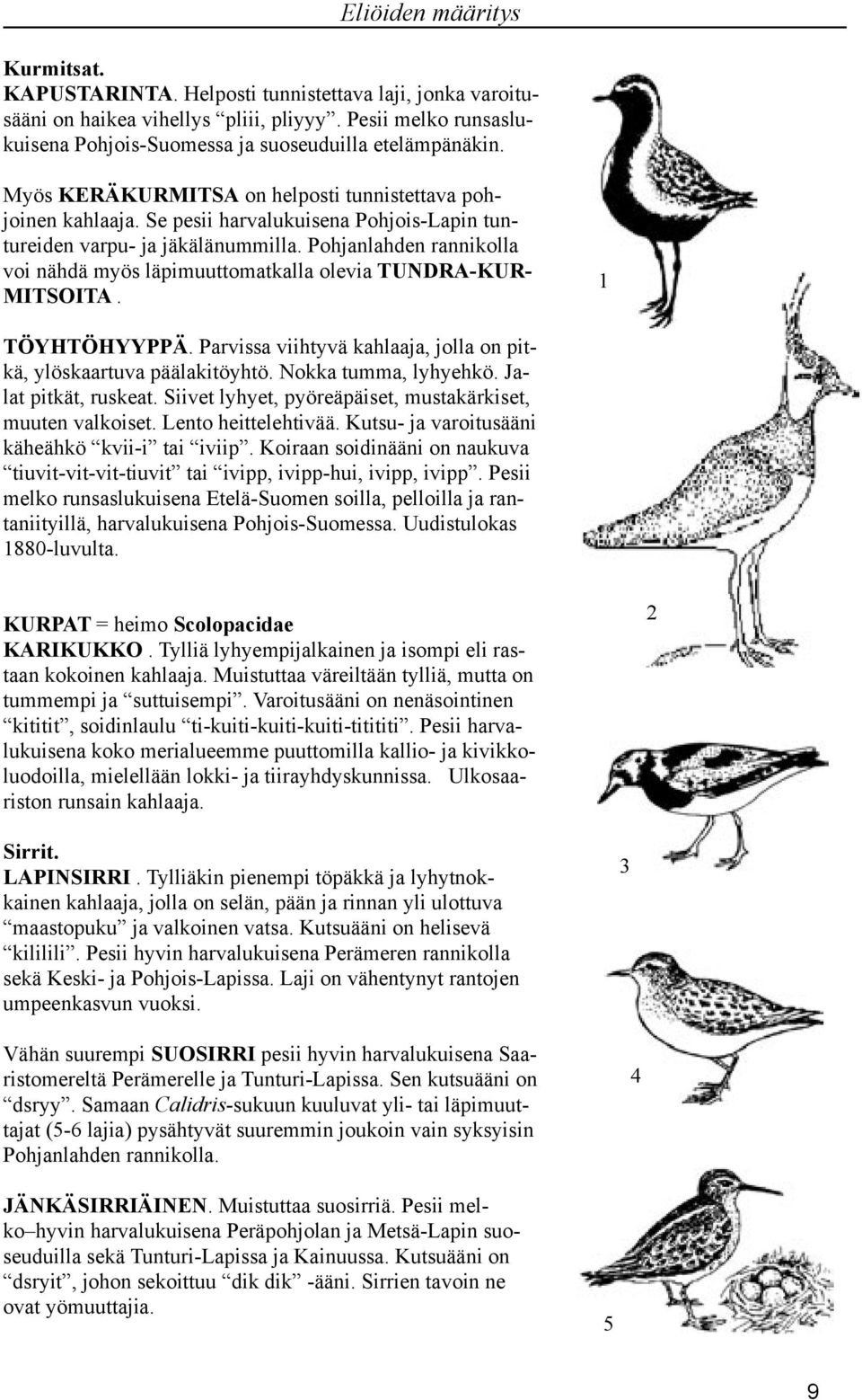 Pohjanlahden rannikolla voi nähdä myös läpimuuttomatkalla olevia TUNDRA-KUR- MITSOITA. TÖYHTÖHYYPPÄ. Parvissa viihtyvä kahlaaja, jolla on pitkä, ylöskaartuva päälakitöyhtö. Nokka tumma, lyhyehkö.