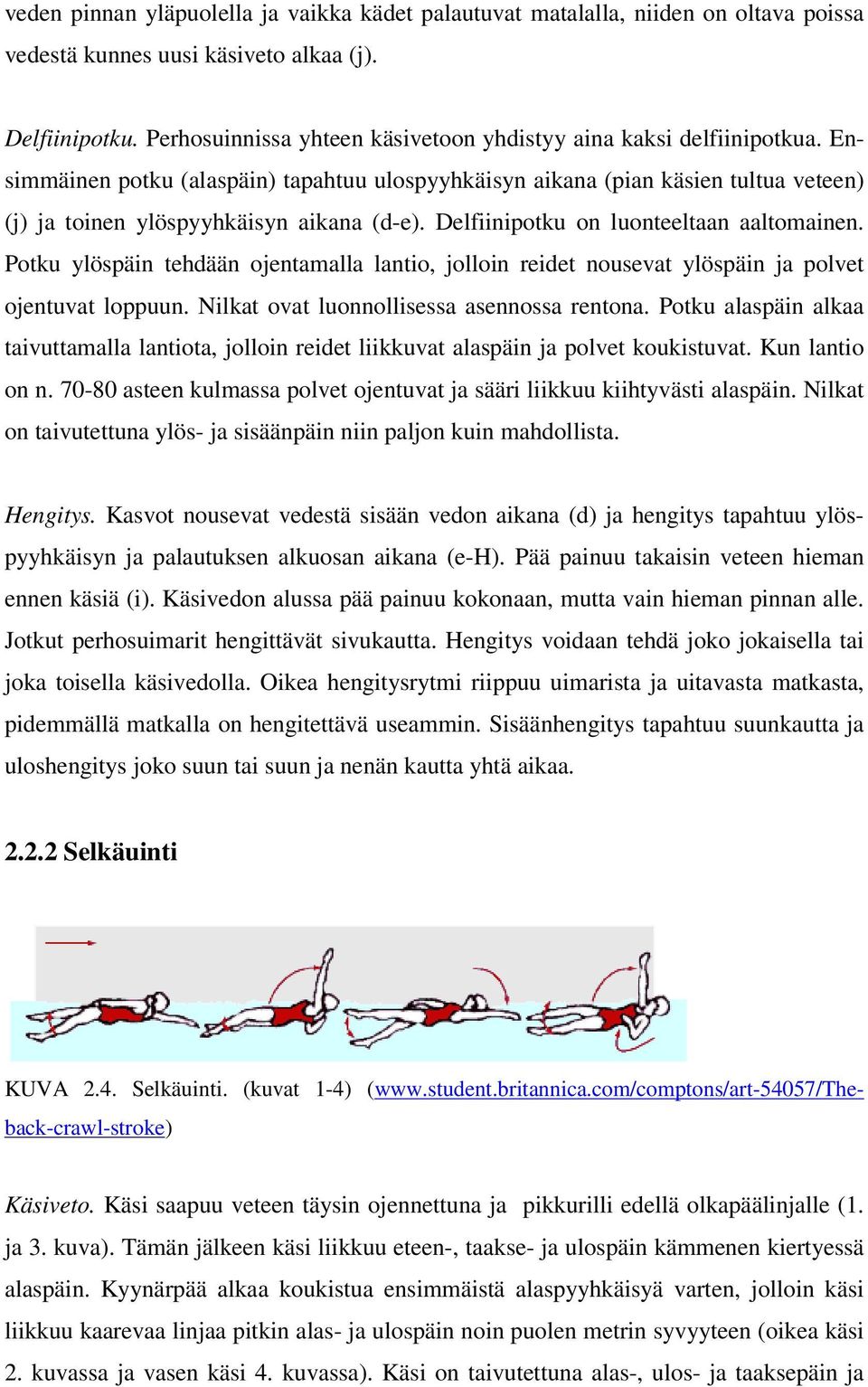 Delfiinipotku on luonteeltaan aaltomainen. Potku ylöspäin tehdään ojentamalla lantio, jolloin reidet nousevat ylöspäin ja polvet ojentuvat loppuun. Nilkat ovat luonnollisessa asennossa rentona.