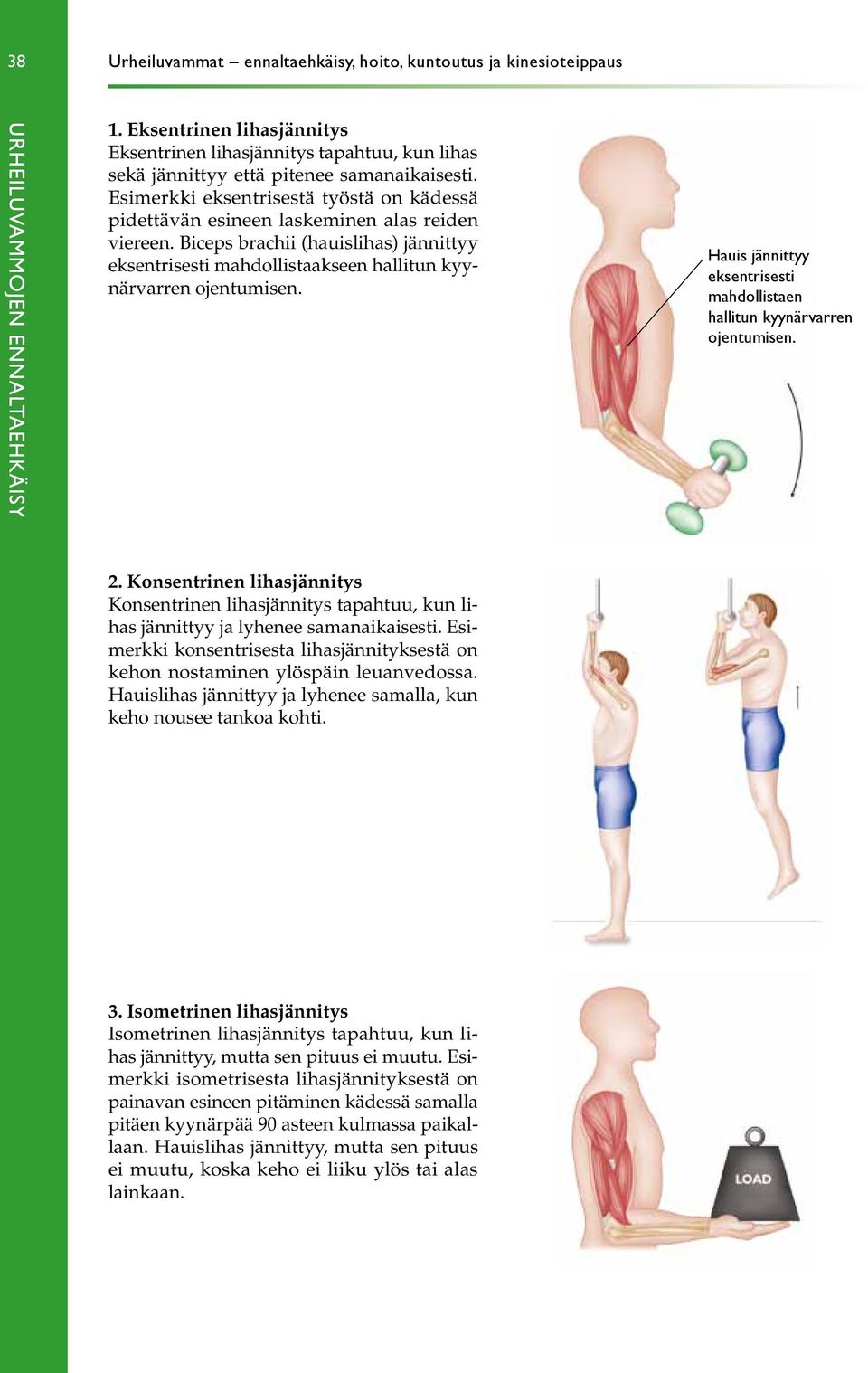 Esimerkki eksentrisestä työstä on kädessä pidettävän esineen laskeminen alas reiden viereen. Biceps brachii (hauislihas) jännittyy eksentrisesti mahdollistaakseen hallitun kyynärvarren ojentumisen.