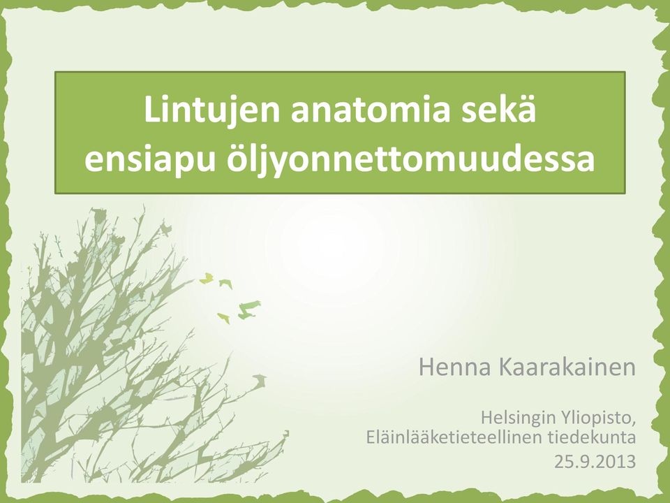 öljyonnettomuudessa