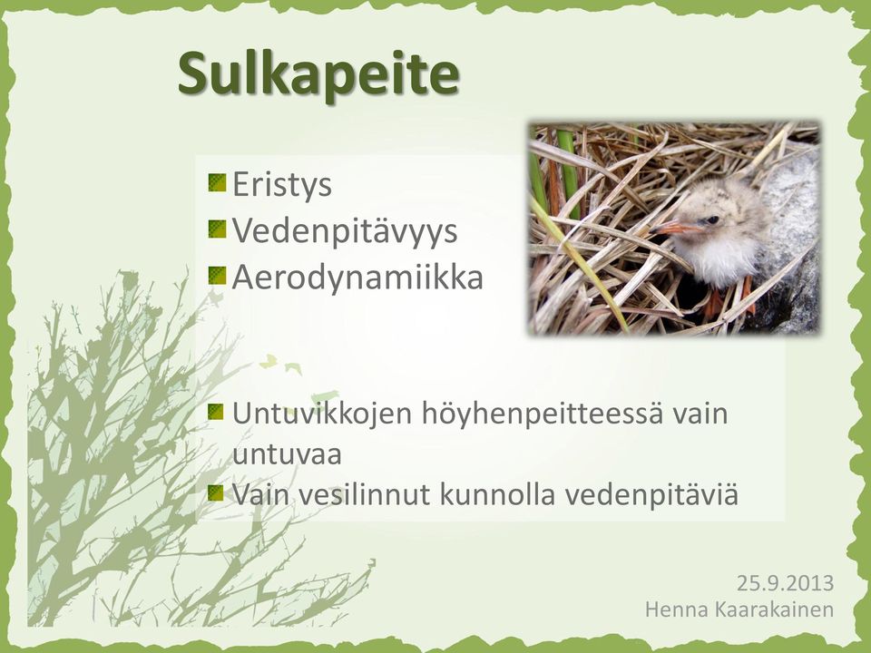 Untuvikkojen höyhenpeitteessä