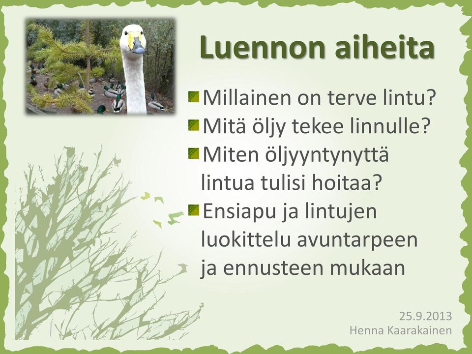 Miten öljyyntynyttä lintua tulisi hoitaa?