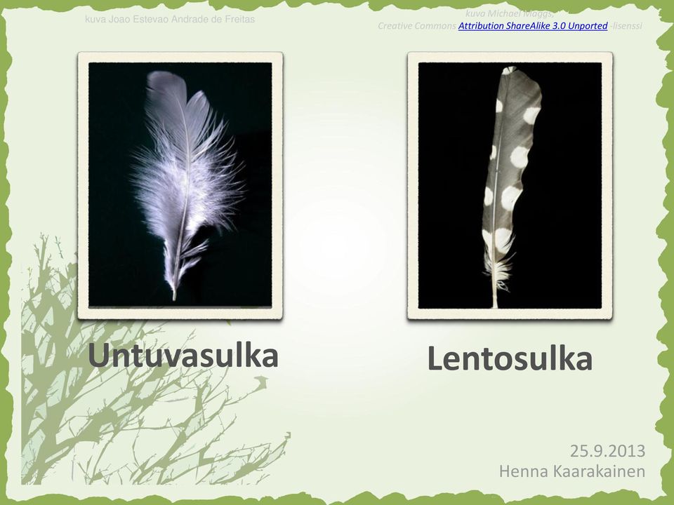 Creative Commons Attribution