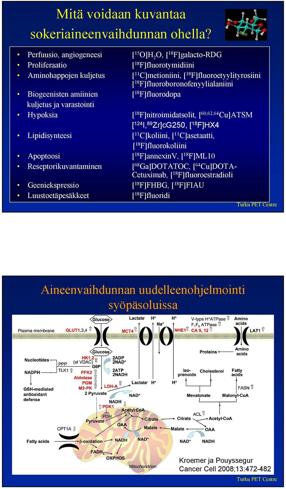 F]fluoroboronofenyylialaniini Biogeenisten amiinien [ 18 F]fluorodopa kuljetus ja varastointi Hypoksia [ 18 F]nitroimidatsolit, [ 60,62,64 Cu]ATSM [ 124 I, 89 Zr]cG250, [ 18 F]HX4 Lipidisynteesi