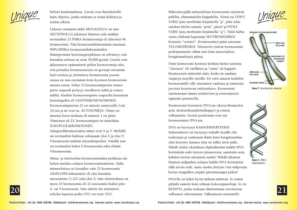 Tätä kromosomilukumäärää sanotaan DIPLOIDIksi kromosomilukumääräksi. Ihmisperimän kartoitusprojektissa on selvinnyt, että kussakin solussa on noin 30,000 geeniä.