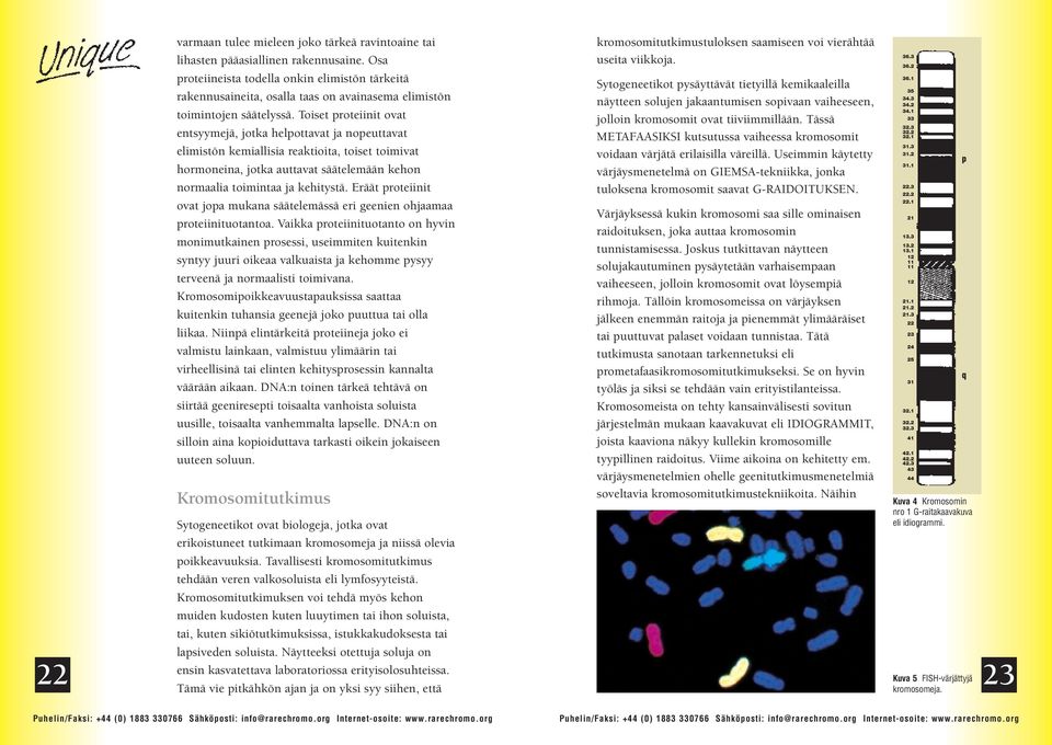 Toiset proteiinit ovat entsyymejä, jotka helpottavat ja nopeuttavat elimistön kemiallisia reaktioita, toiset toimivat hormoneina, jotka auttavat säätelemään kehon normaalia toimintaa ja kehitystä.