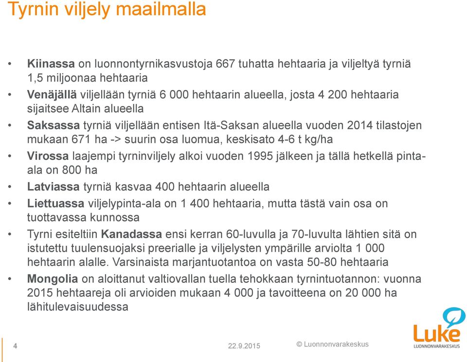 tyrninviljely alkoi vuoden 1995 jälkeen ja tällä hetkellä pintaala on 800 ha Latviassa tyrniä kasvaa 400 hehtaarin alueella Liettuassa viljelypinta-ala on 1 400 hehtaaria, mutta tästä vain osa on