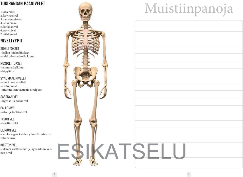 nilkkanivel NIVELTYYPIT SIDELIITOKSET RUSTOLIITOKSET