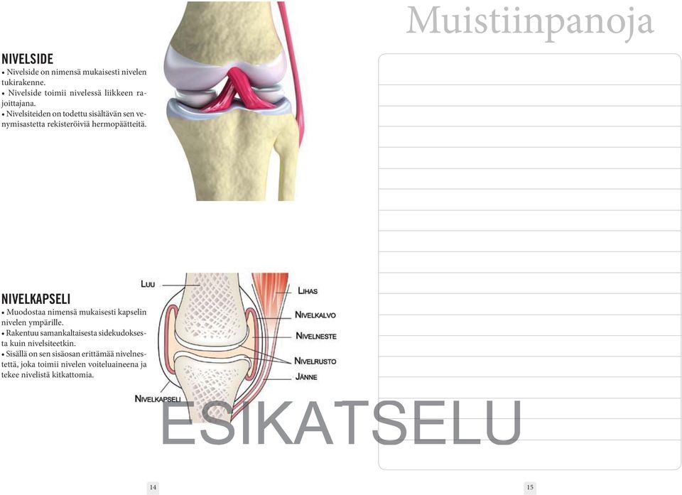 NIVELKAPSELI nivelen ympärille.