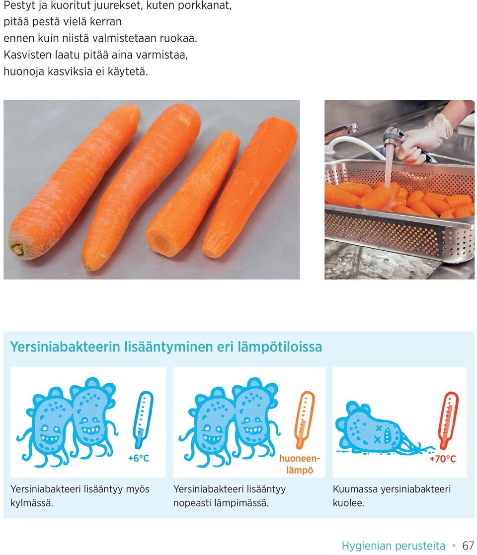 Yersiniabakteerin lisääntyminen eri lämpötiloissa Yersiniabakteeri lisääntyy myös kylmässä.