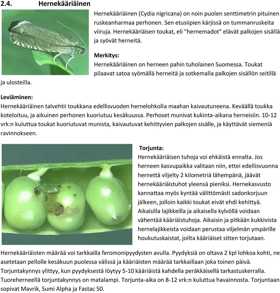 Toukat pilaavat satoa syömällä herneitä ja sotkemalla palkojen sisällön seitillä Hernekääriäinen talvehtii toukkana edellisvuoden hernelohkolla maahan kaivautuneena.