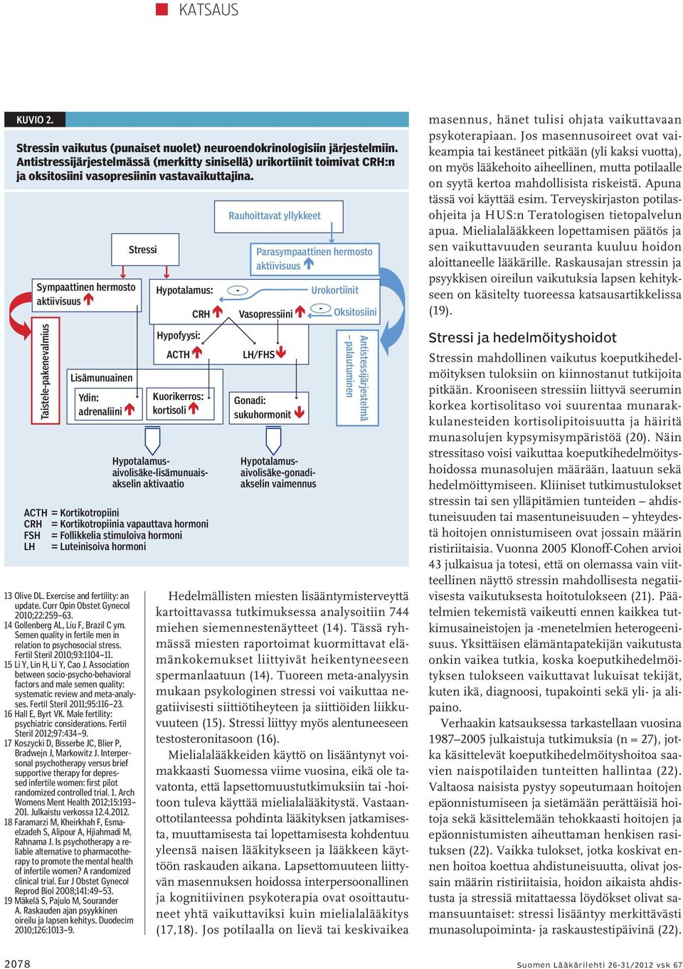 Sympaattinen hermosto aktiivisuus Taistele-pakenevalmius Lisämunuainen Ydin: adrenaliini Stressi Hypotalamus: Hypofyysi: ACTH CRH Kuorikerros: kortisoli Hypotalamusaivolisäke-lisämunuaisakselin