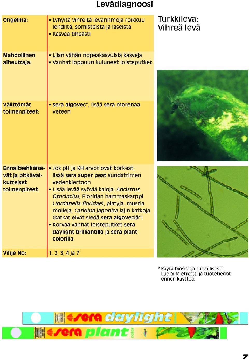 vedenkiertoon Lisää levää syöviä kaloja: Ancistrus, Otocinclus, Floridan hammaskarppi (Jordanella floridae), platyja, mustia molleja, Caridina japonica lajin katkoja (katkat eivät siedä sera