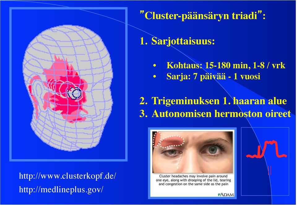 7 päivää - 1 vuosi 2. Trigeminuksen 1. haaran alue 3.