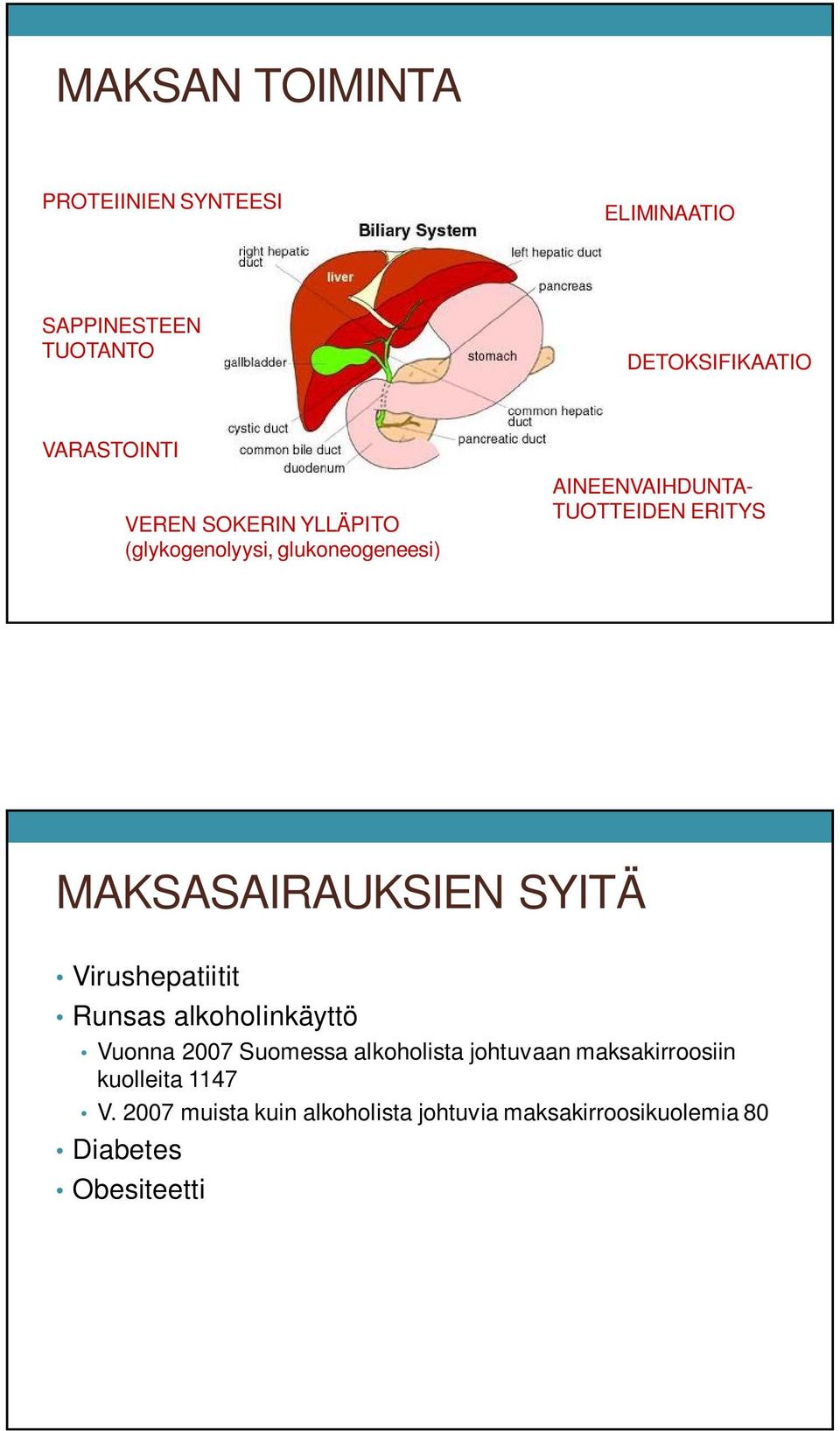 MAKSASAIRAUKSIEN SYITÄ Virushepatiitit Runsas alkoholinkäyttö Vuonna 2007 Suomessa alkoholista