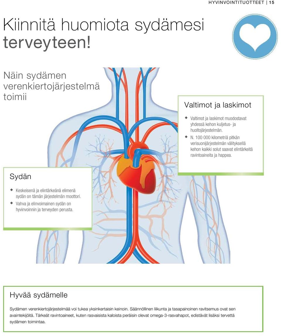 100 000 kilometriä pitkän verisuonijärjestelmän välityksellä kehon kaikki solut saavat elintärkeitä ravintoaineita ja happea.